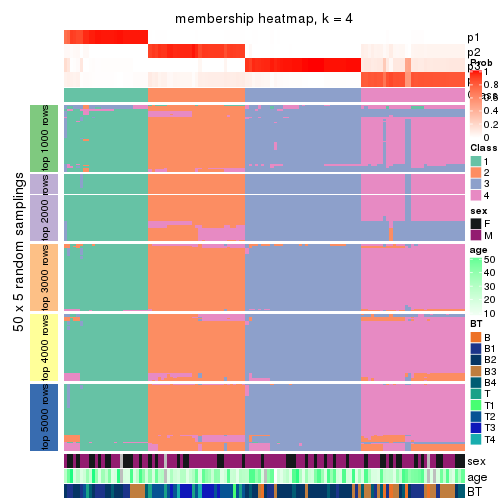 plot of chunk tab-SD-kmeans-membership-heatmap-3