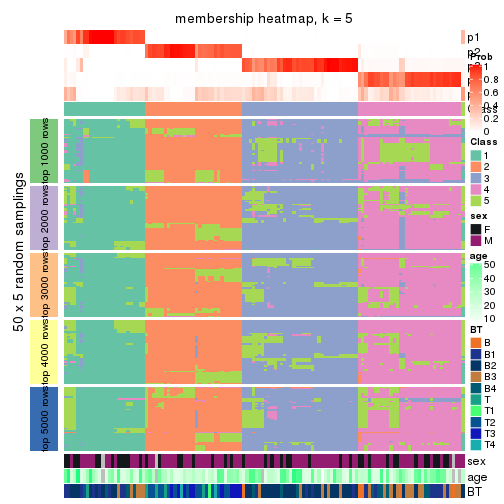 plot of chunk tab-SD-kmeans-membership-heatmap-4