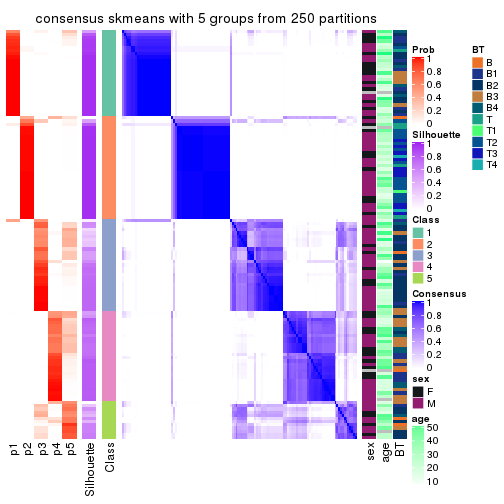 plot of chunk tab-SD-skmeans-consensus-heatmap-4