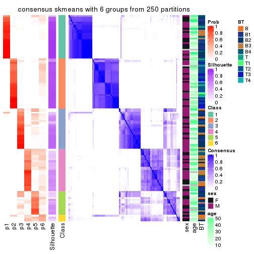 plot of chunk tab-SD-skmeans-consensus-heatmap-5