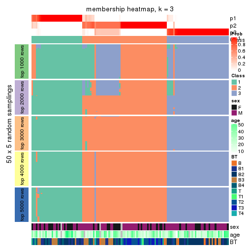 plot of chunk tab-SD-skmeans-membership-heatmap-2