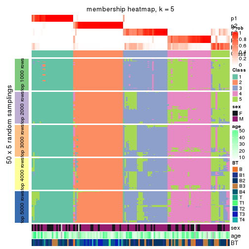 plot of chunk tab-SD-skmeans-membership-heatmap-4