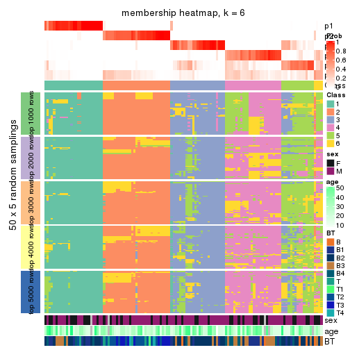 plot of chunk tab-SD-skmeans-membership-heatmap-5